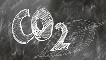 Internet: Gute Prognosen für CO2-Bilanz